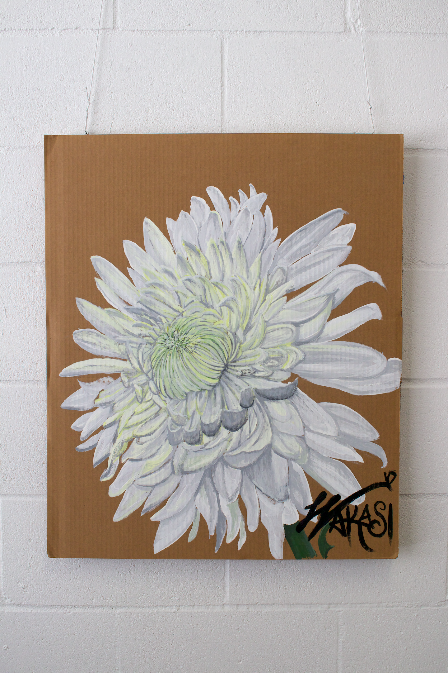 Day 20 Chrysanthemum