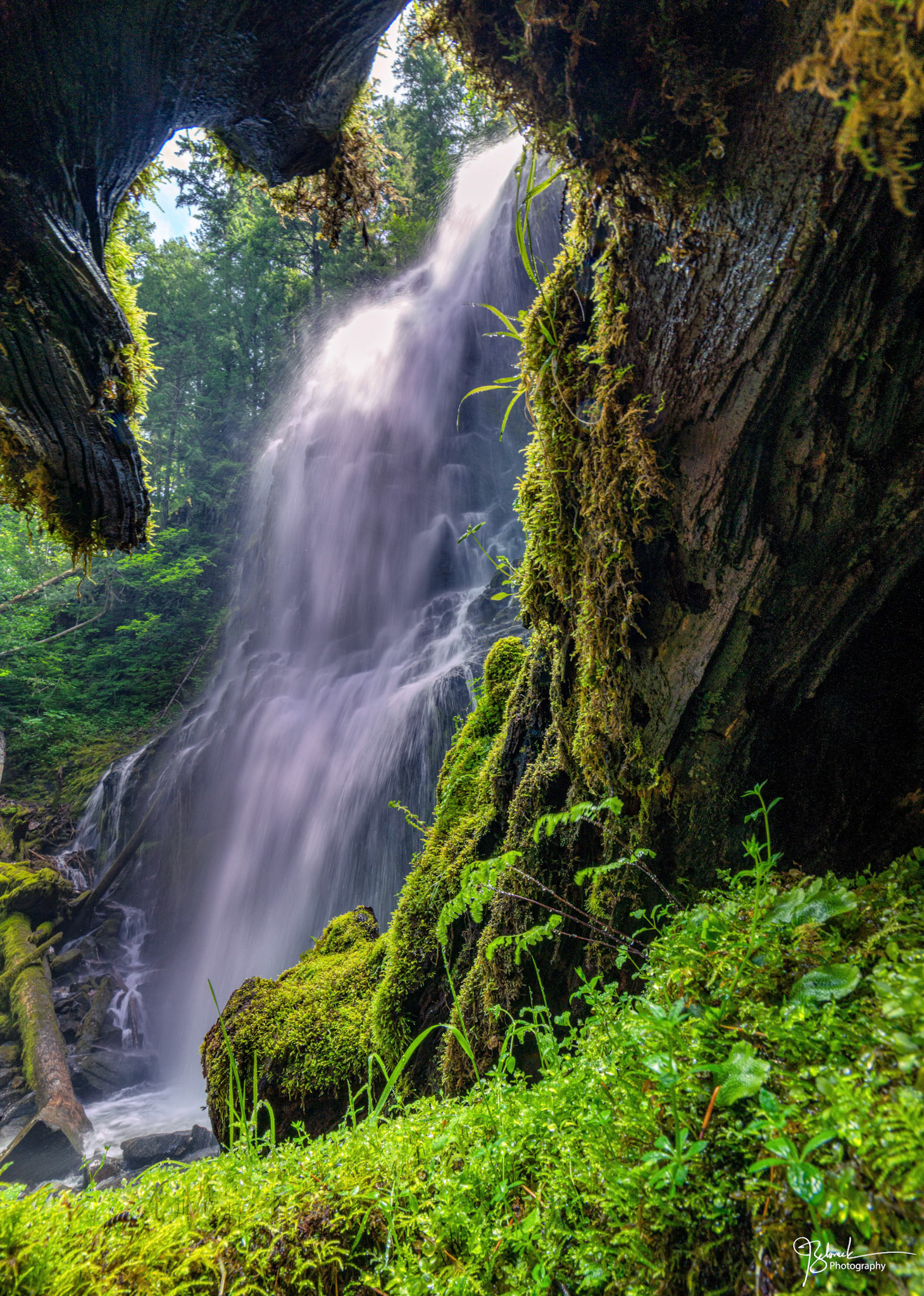 Proxy Falls