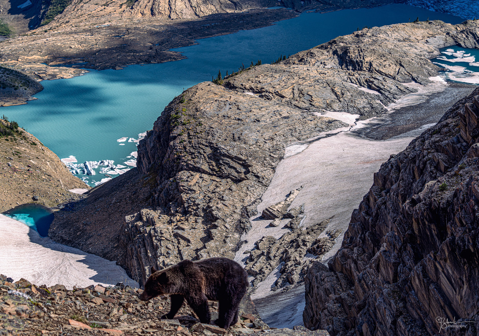 Grizzly over Upper Grinnell