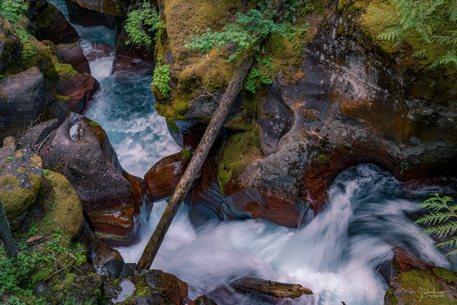 Avalanche Creek