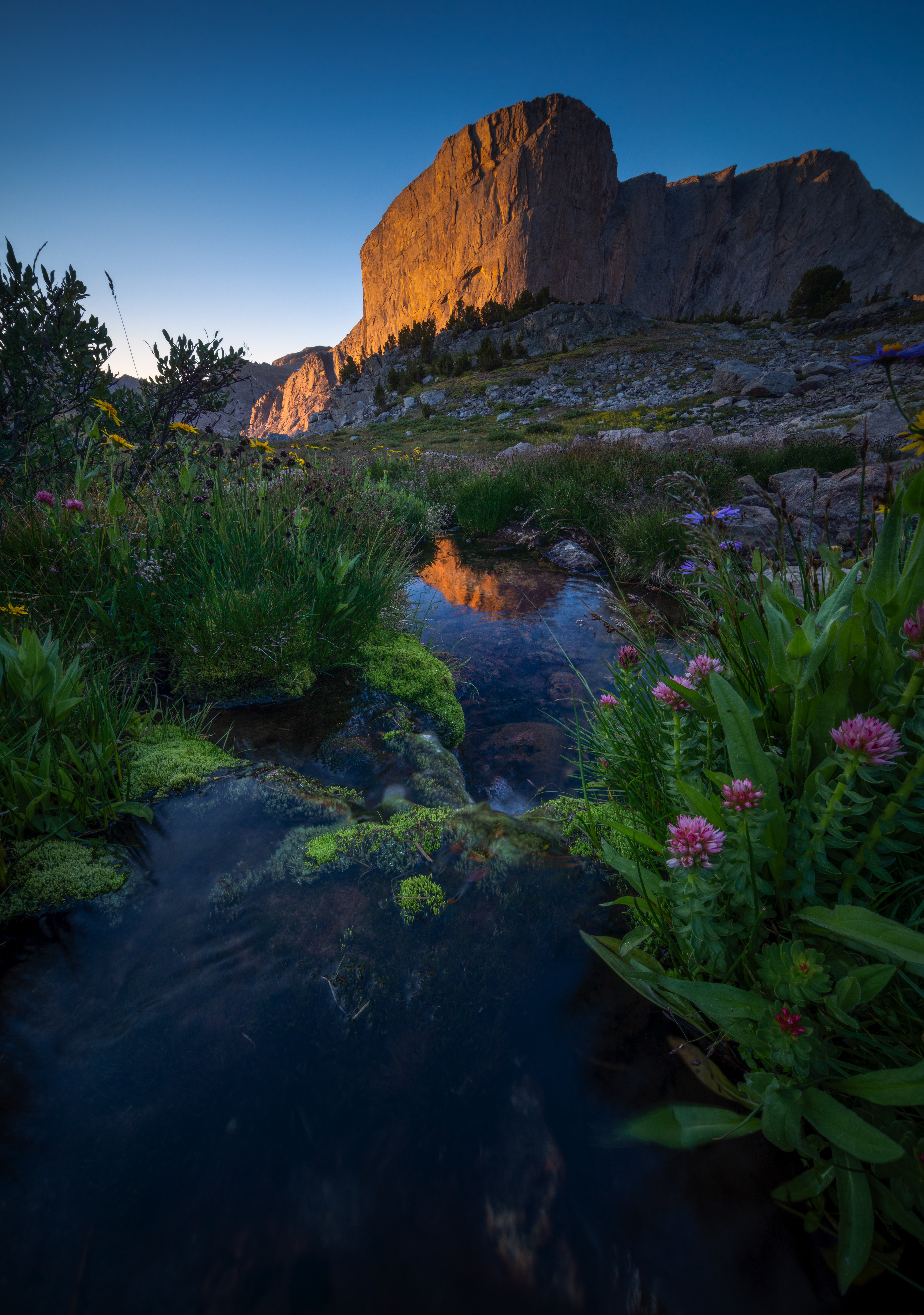 Mount Hooker Sunrise