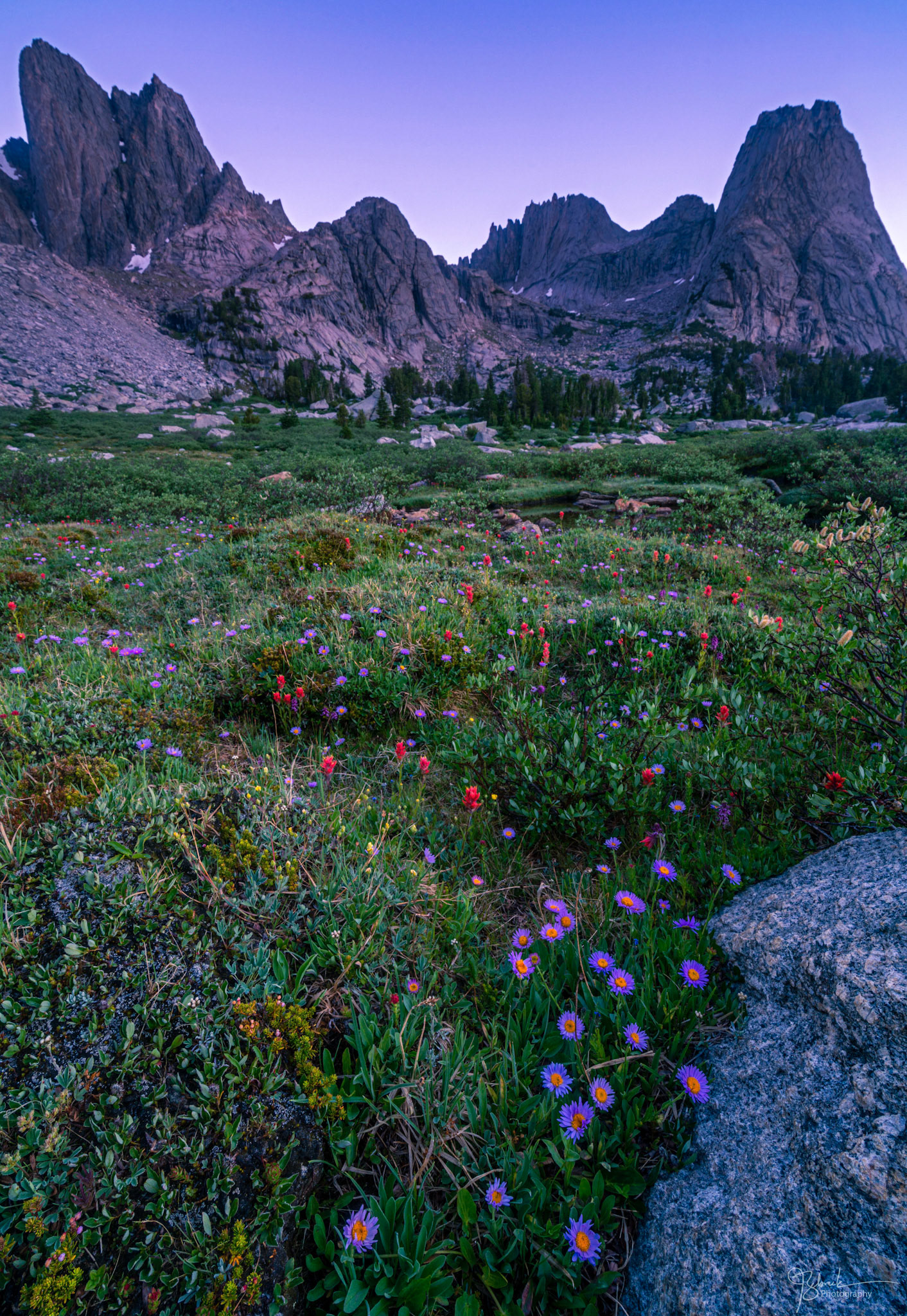 Cirque wildflowers