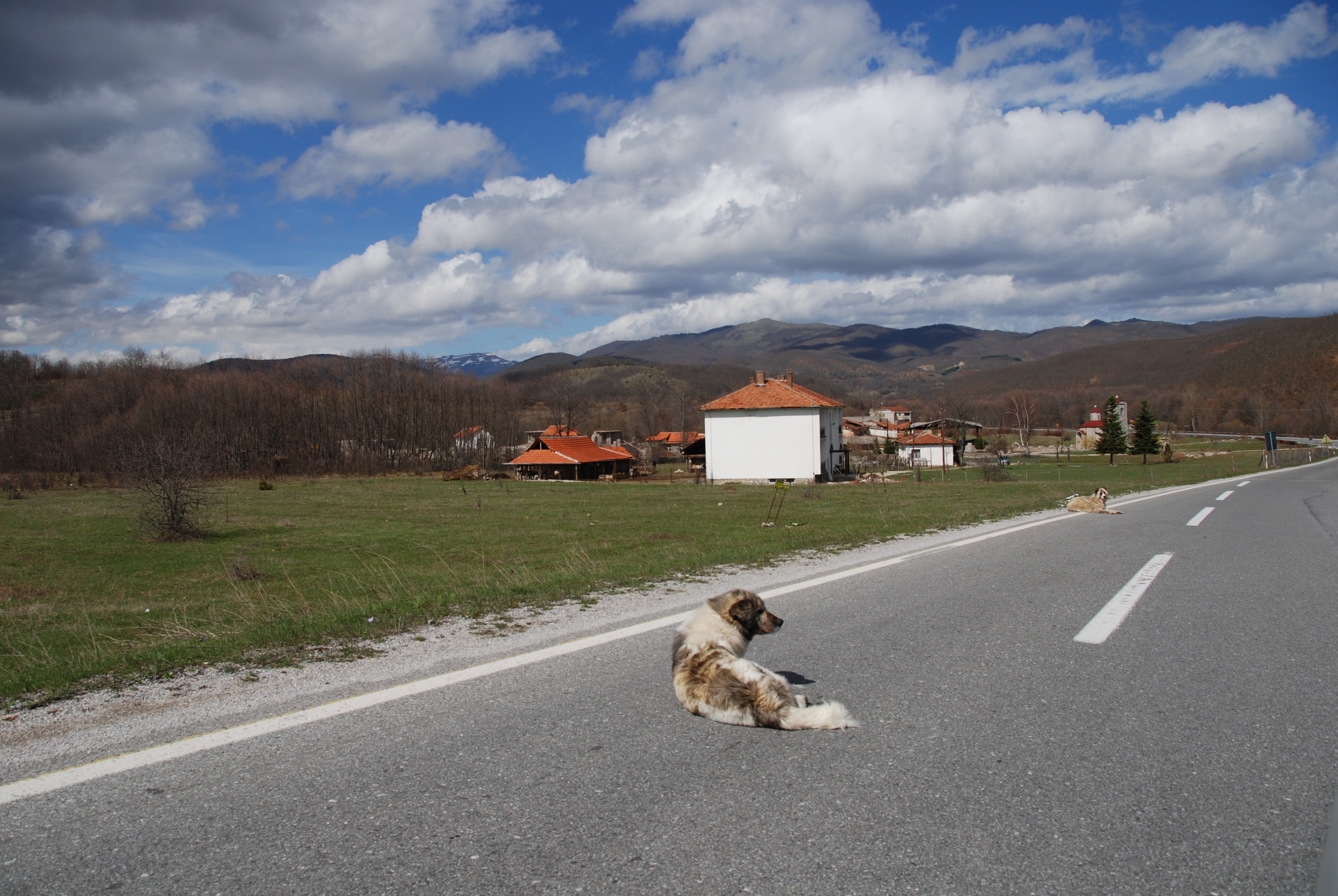 Streets of Macedonia, 2012