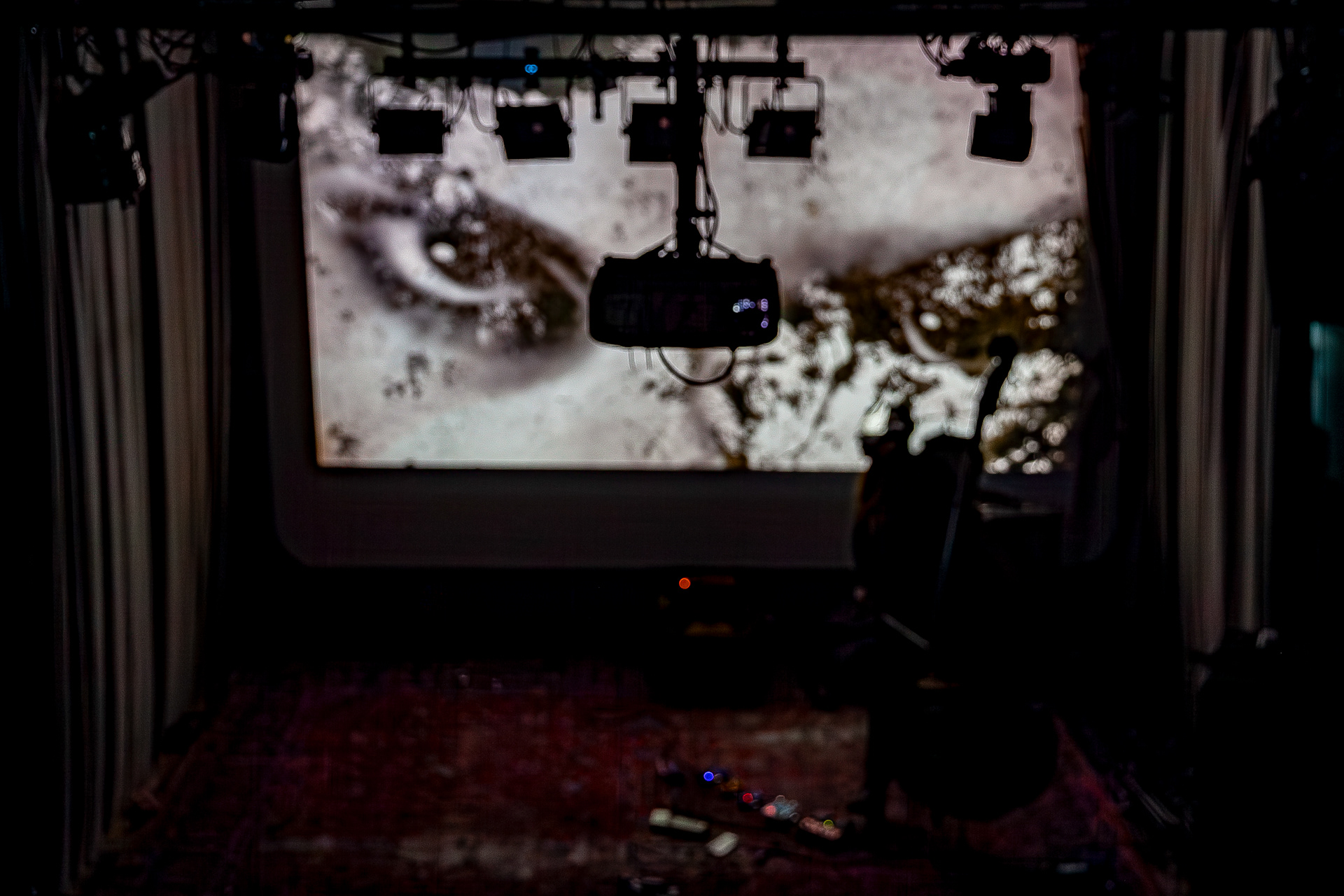 Catarina Palazzi, 2025