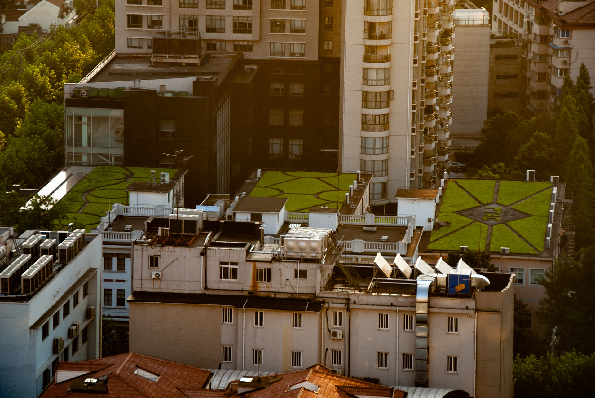 Shanghai, 2013