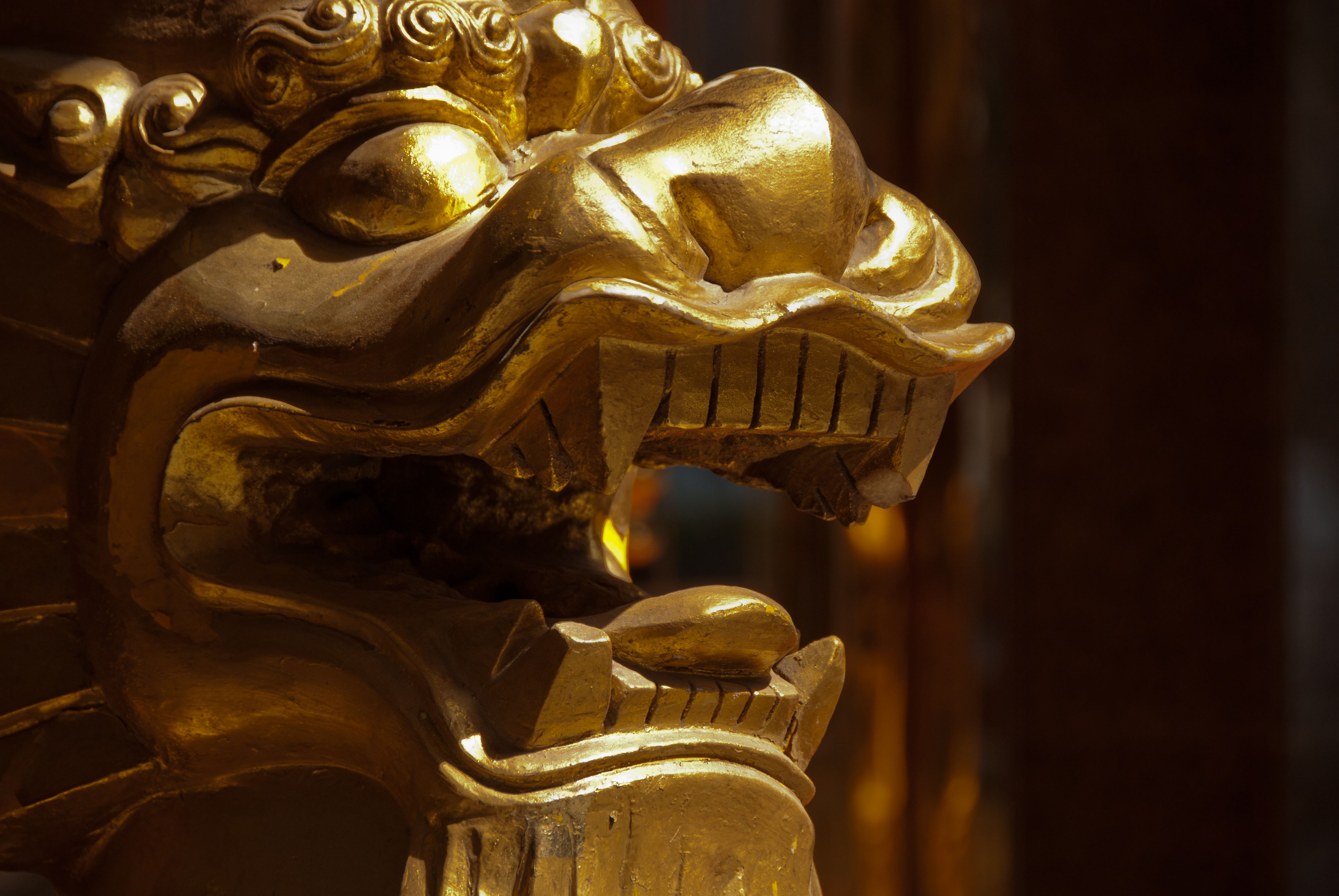 Shanghai, 2013