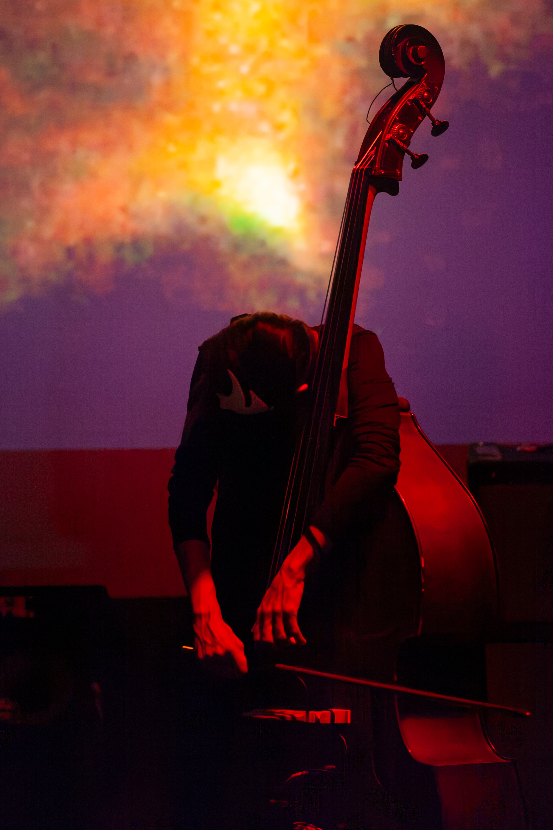 Catarina Palazzi, 2025