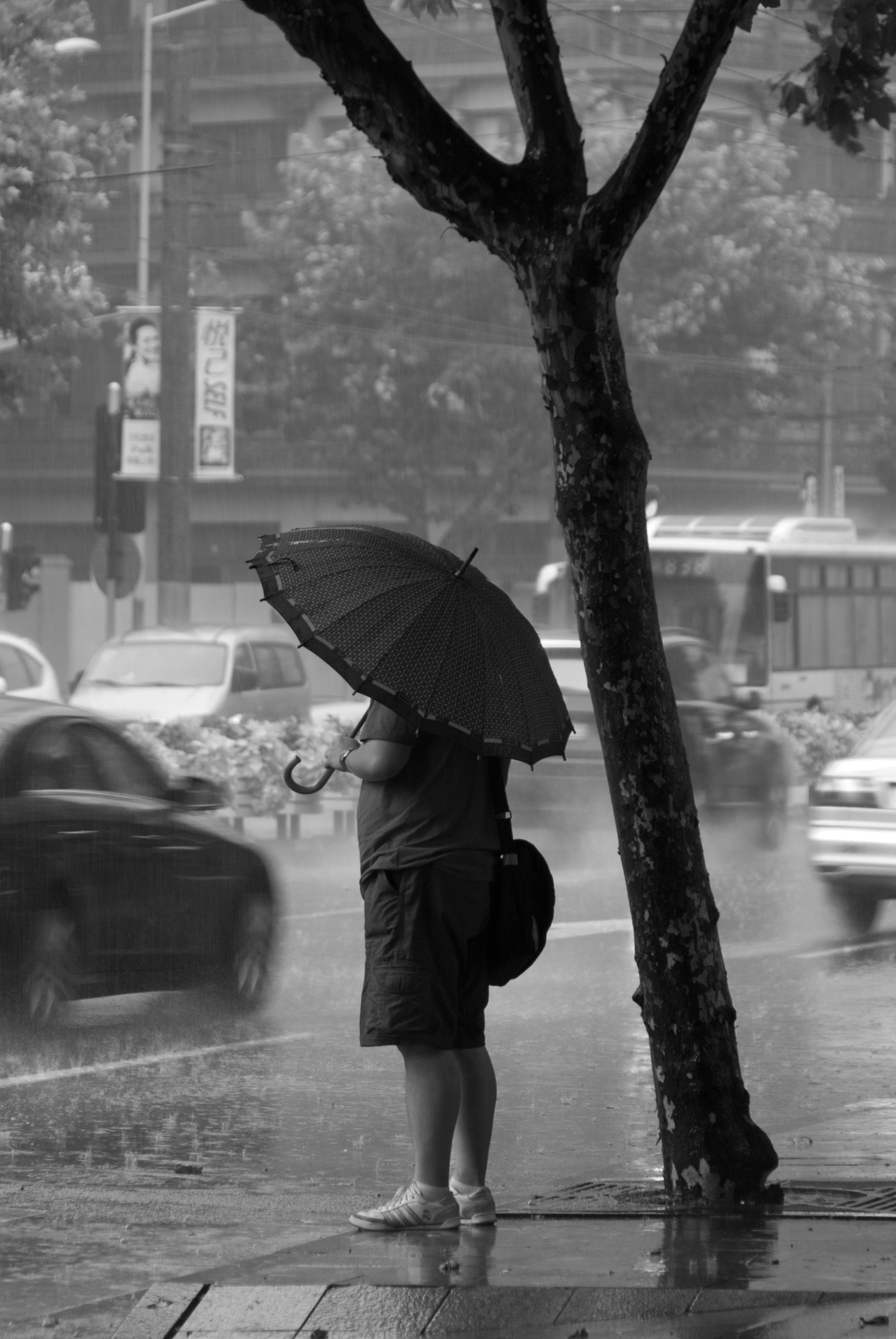 Shanghai, 2013