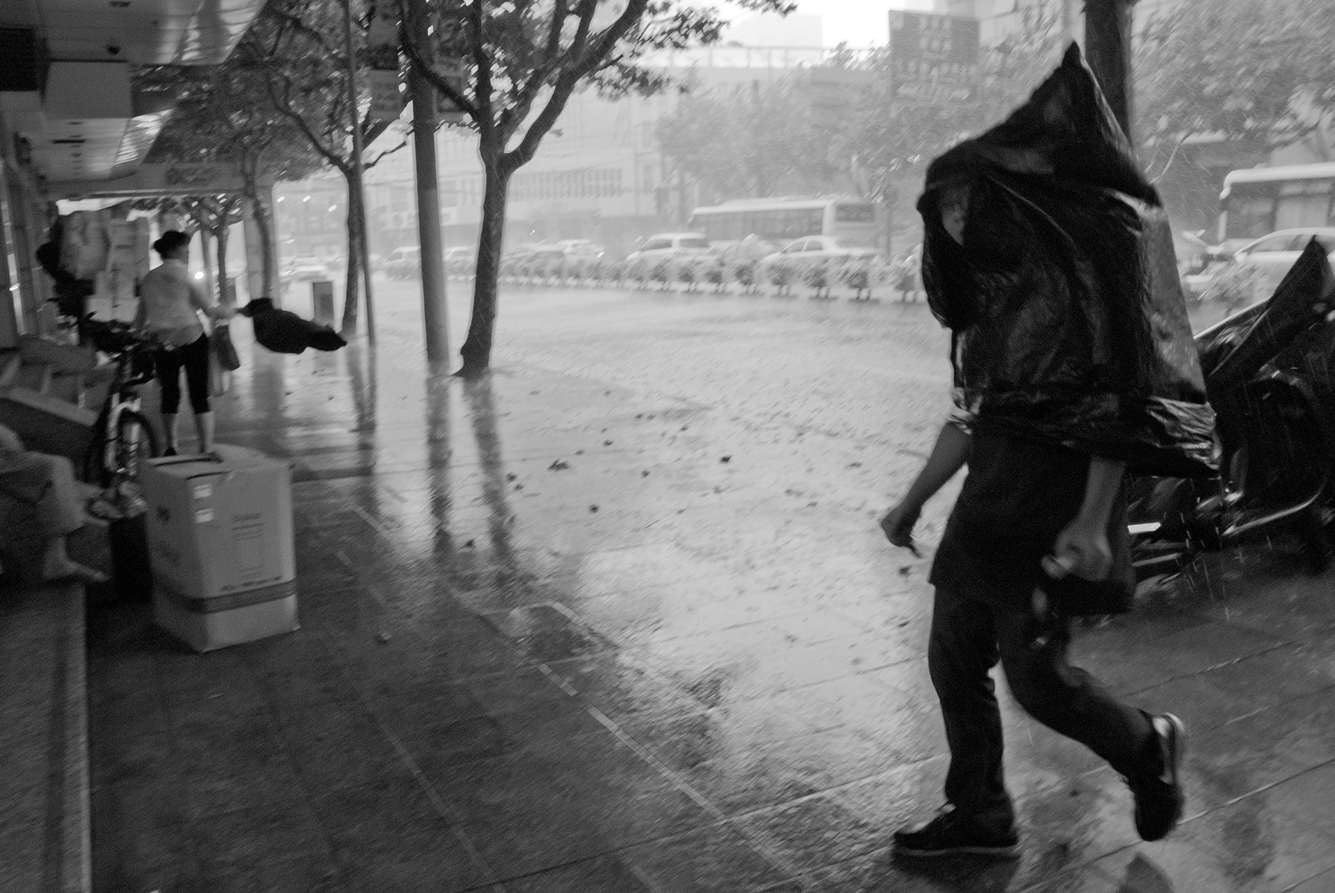 Shanghai, 2013