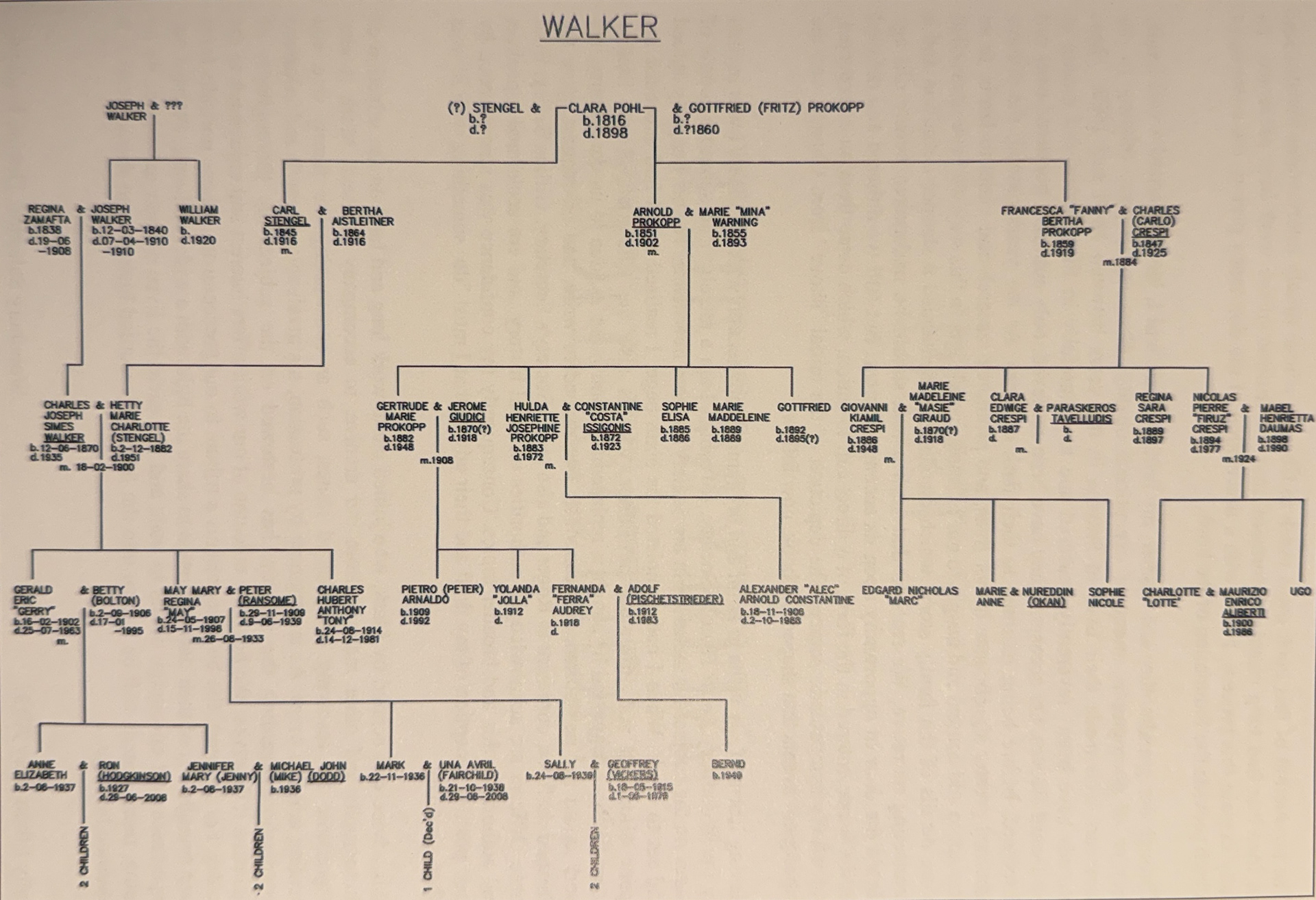 Prokopp  and Walker Family Tree, researched and written by Mark Ransome Source: Sally Elliott, Smyrna, one family’s tale, 2013 Photo: TAM Museum