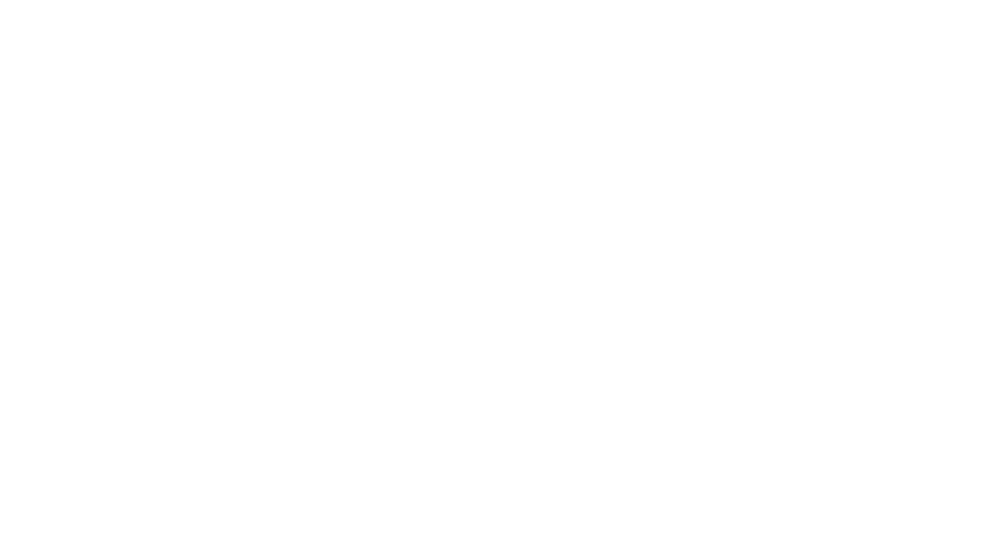 Will Snyder