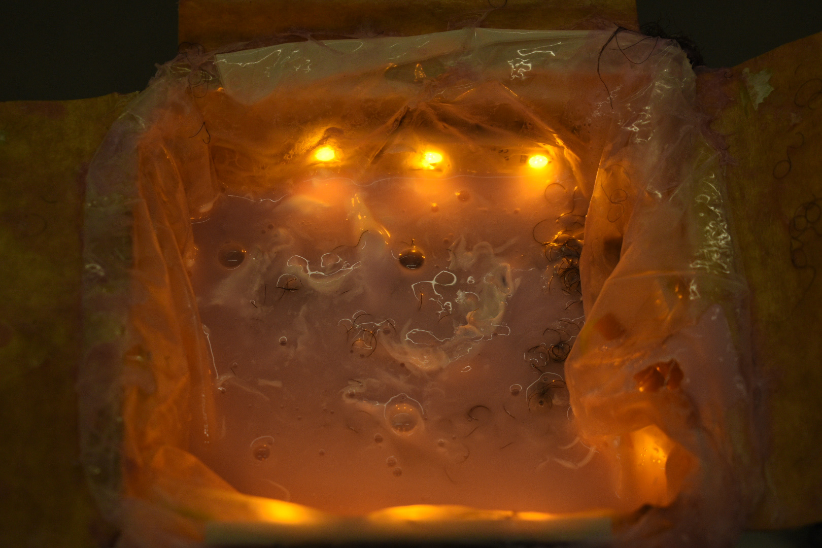 P4n0r4's B0x (detail)