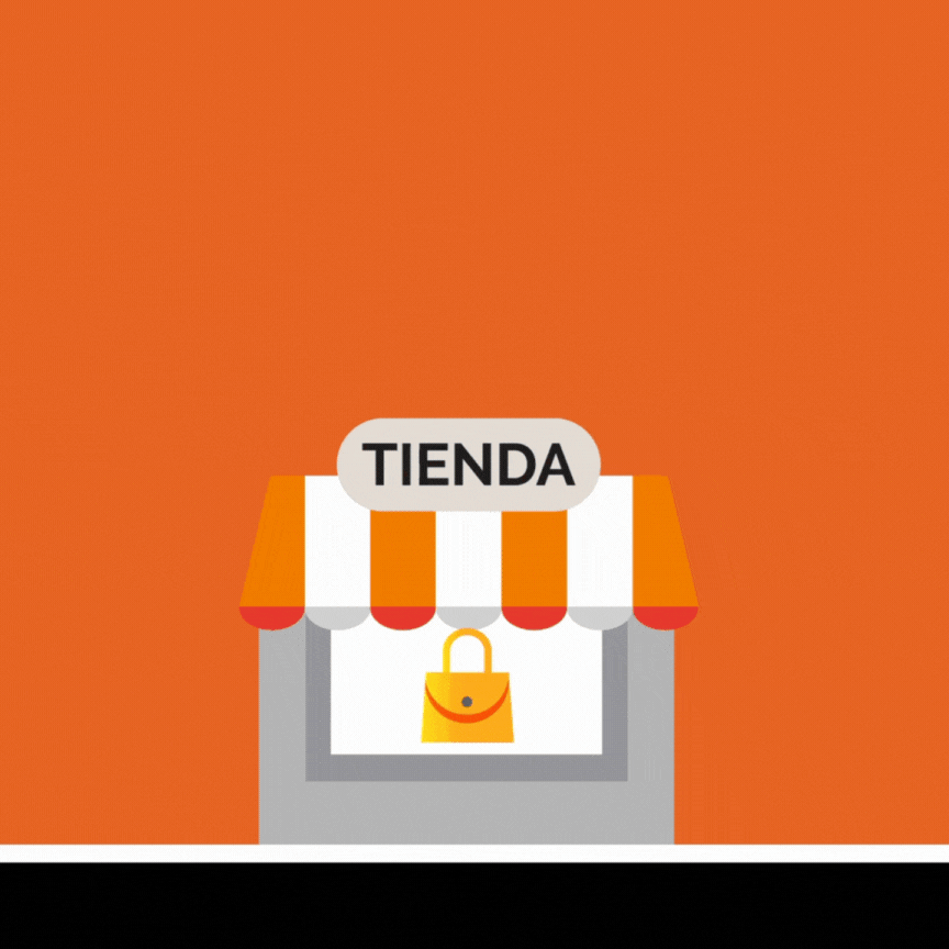 TRIÁNGULO ESTUDIO - INSTAGRAM FEED ANIMADO