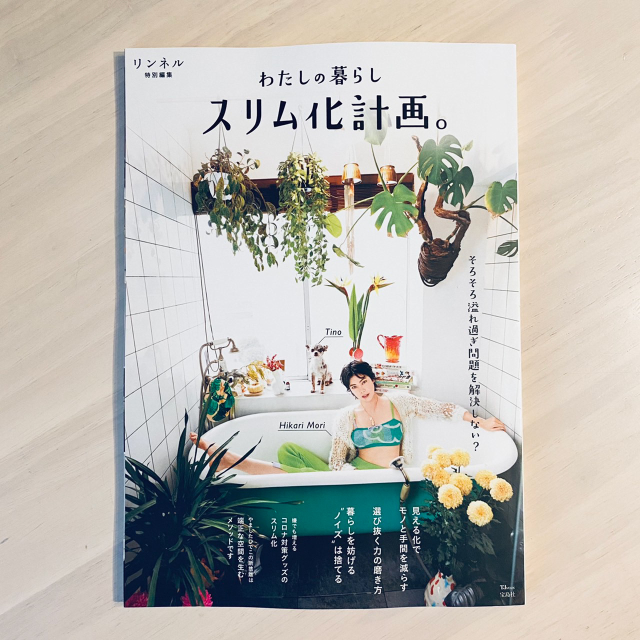TJ MOOK リンネル特別編集「わたしの暮らしスリム化計画。」内「なぜ丁寧な暮らしをしている人は品格があるのか?」ページ挿絵