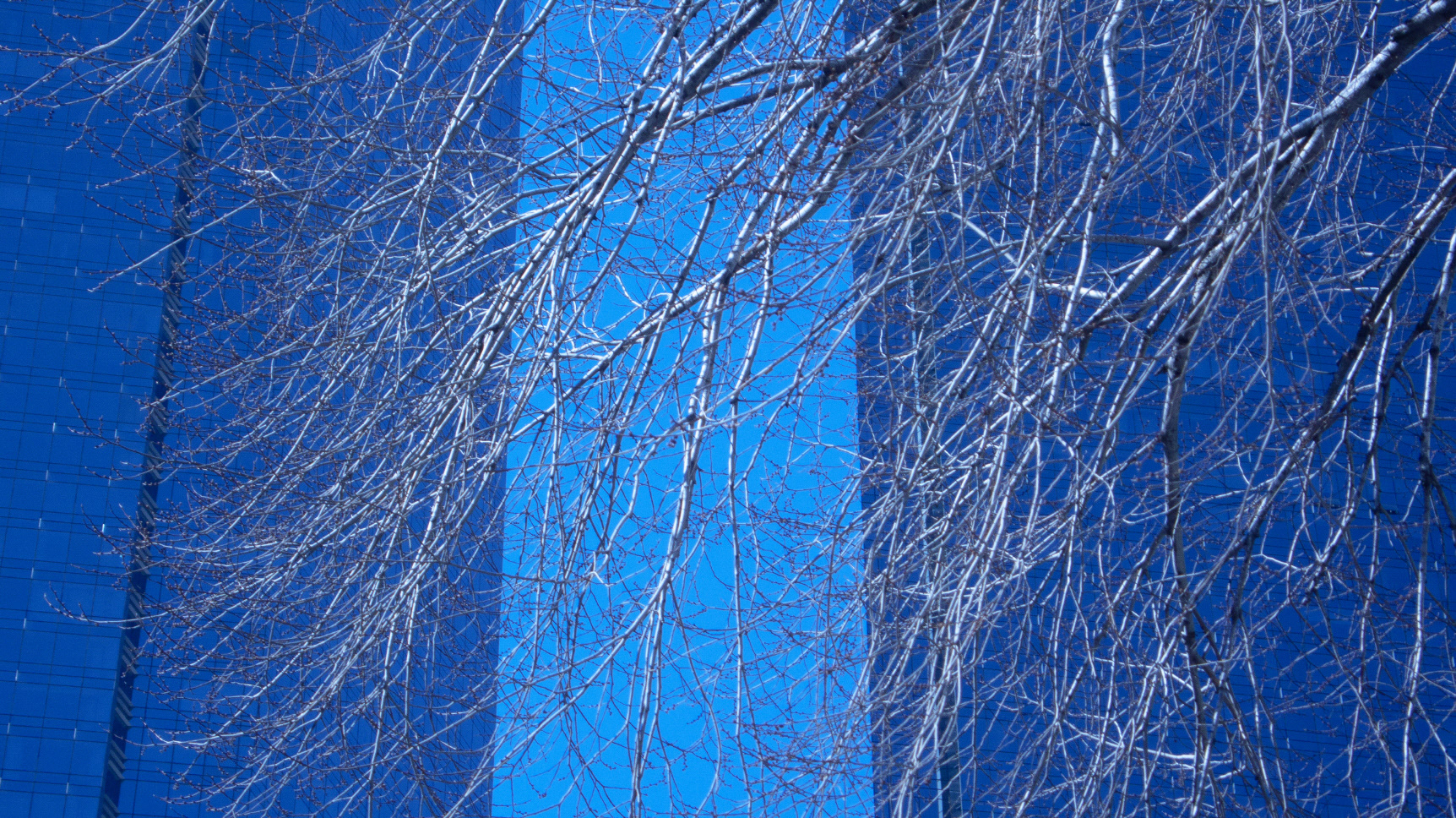 City_Breathe #011_뉴욕