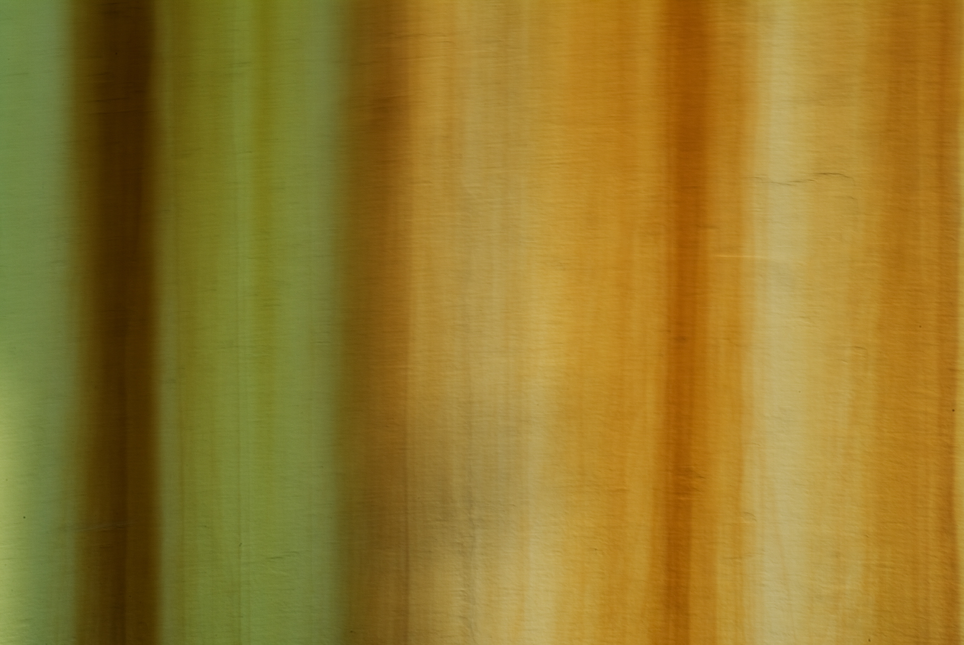 기억의저편 #009