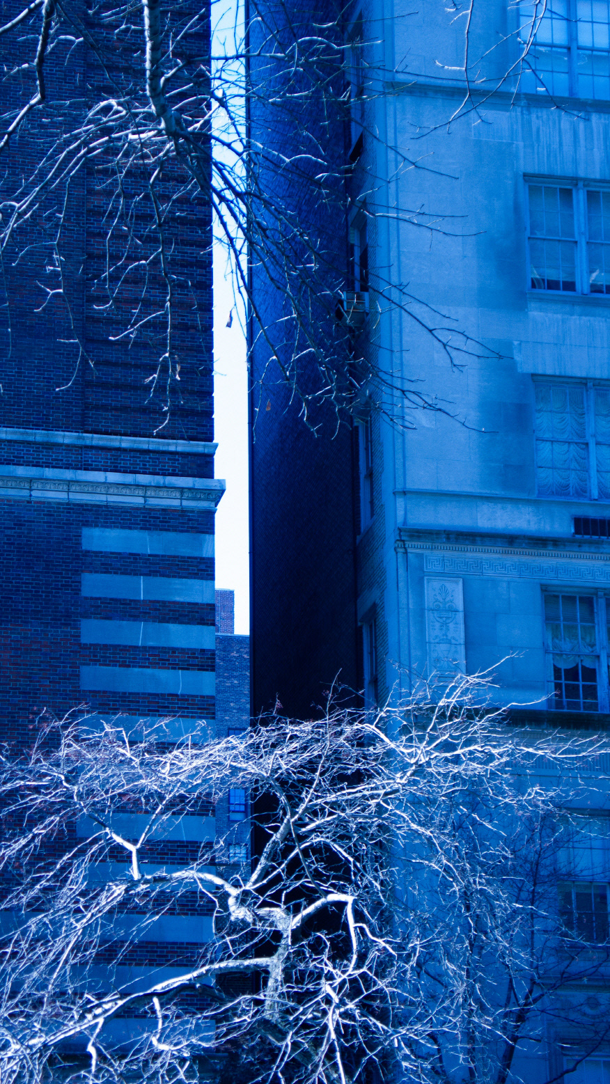 City_Breathe #010_뉴욕