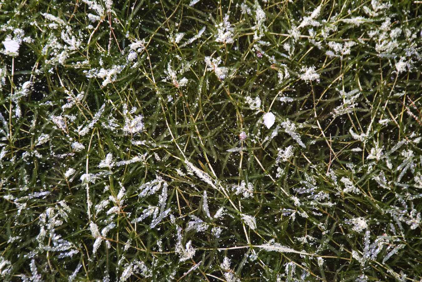 사유풍경 # 025