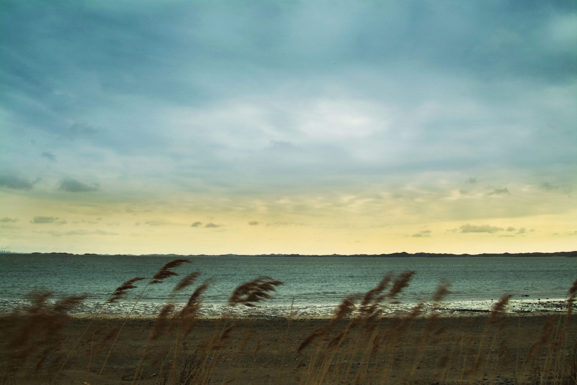 사유풍경 # 013