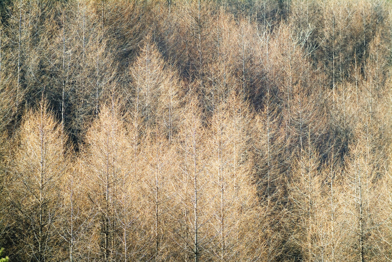 사유풍경 # 022