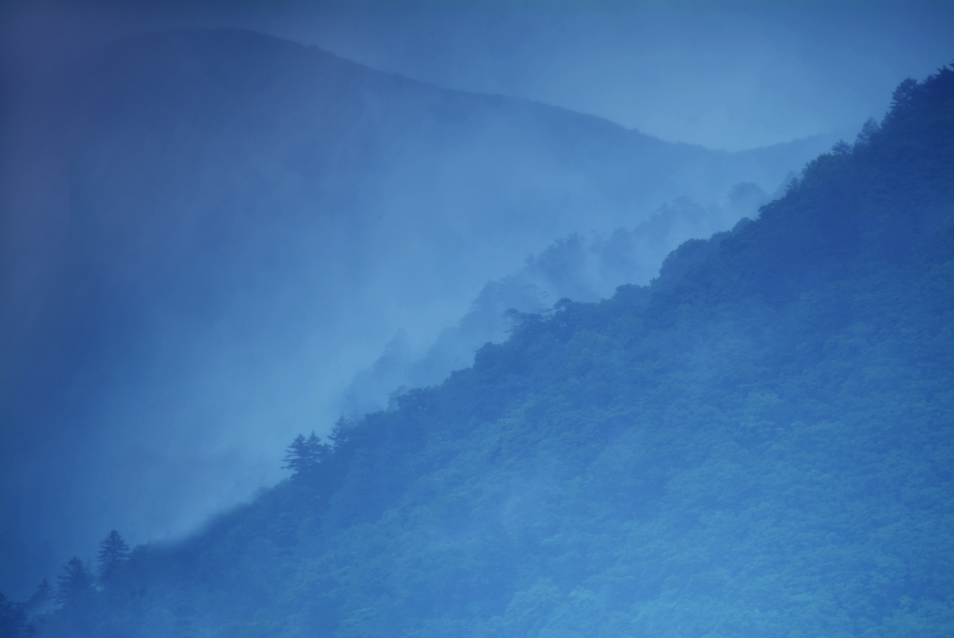 사유풍경 # 014