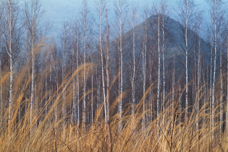 사유풍경 # 021