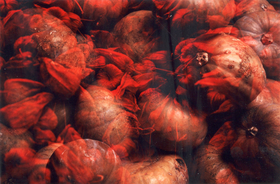 시간의 화석  #010