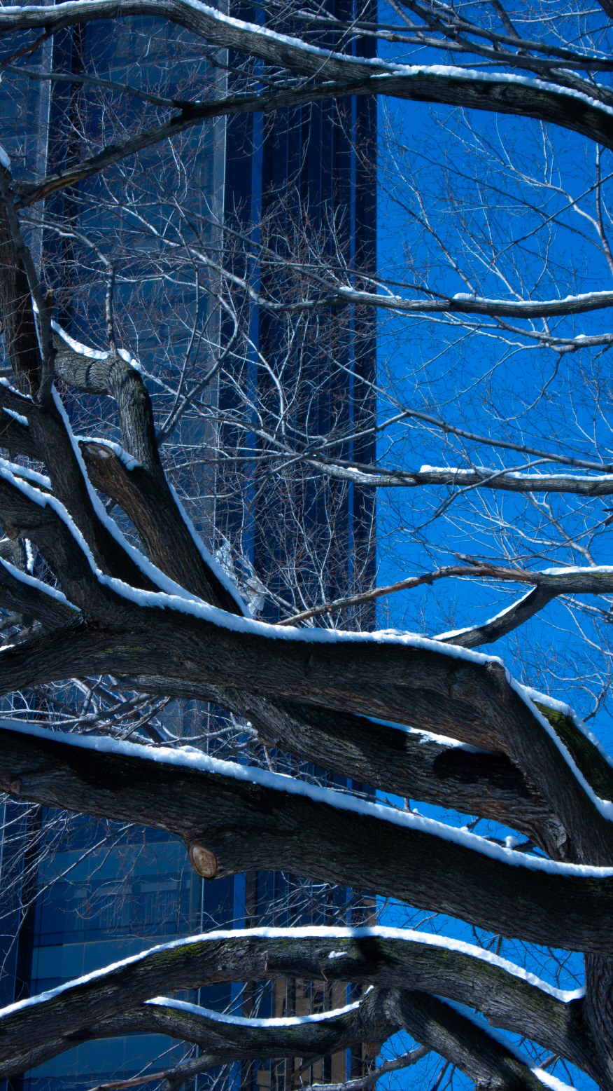 City_Breathe #017_뉴욕