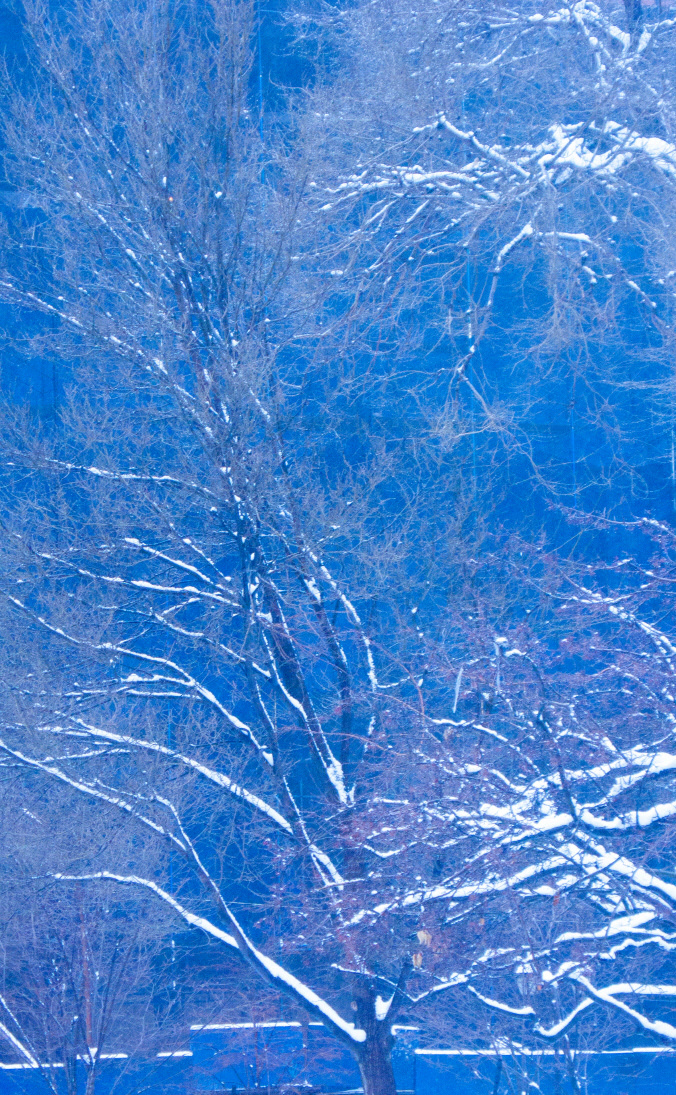 사유풍경 # 019