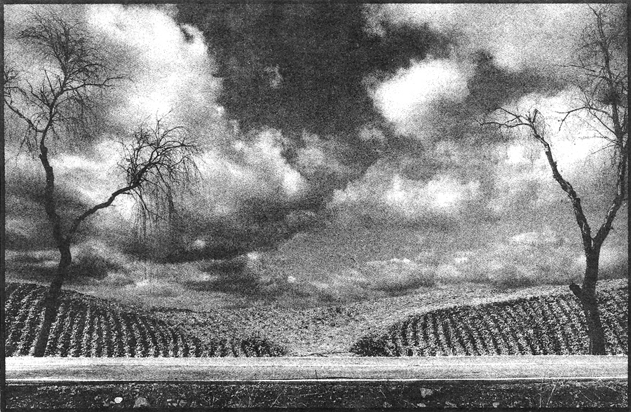 그날 풍경 #002