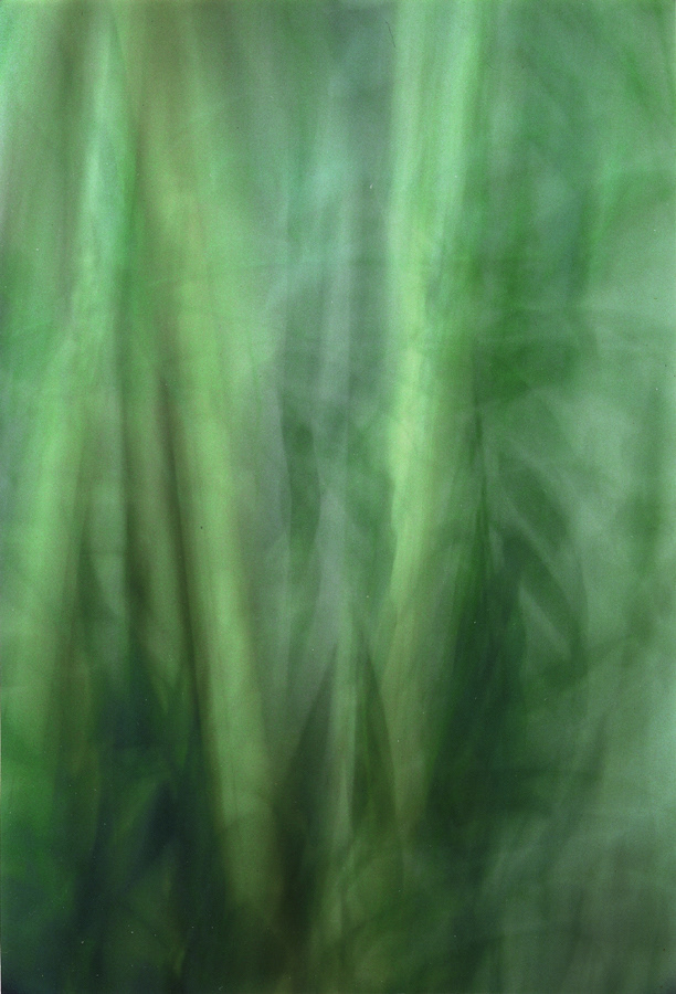 기억의저편 #001