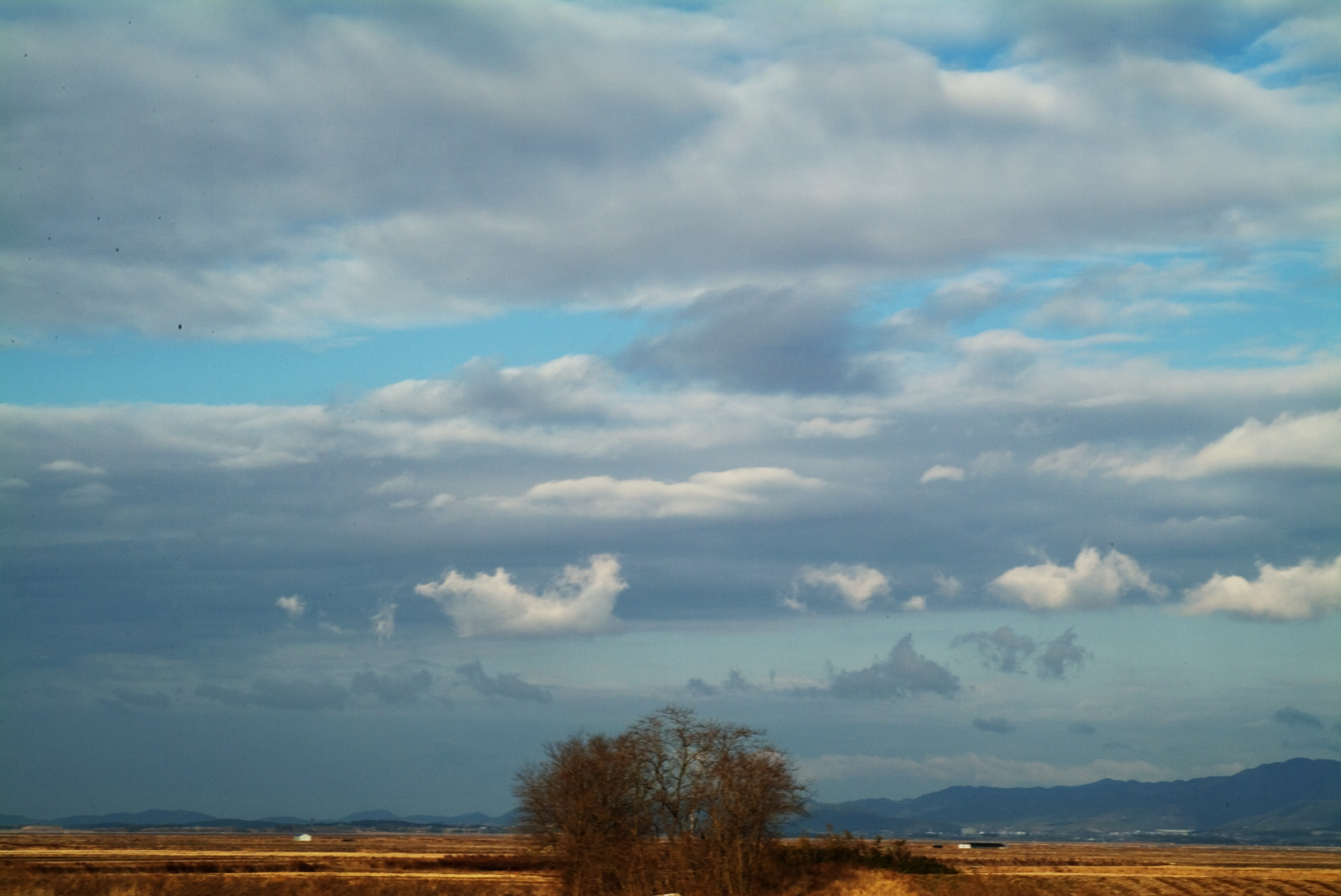 사유풍경 # 012