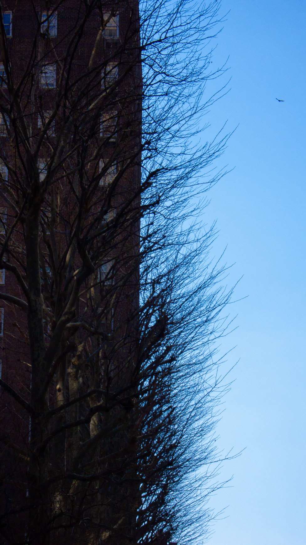 City_Breathe #008_뉴욕