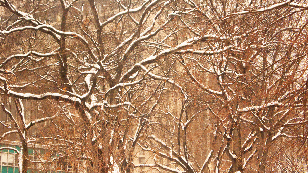 사유풍경 # 020