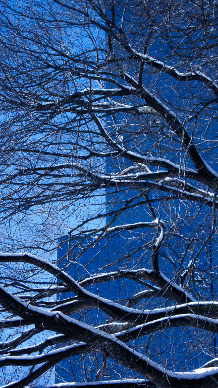 City_Breathe #016_뉴욕