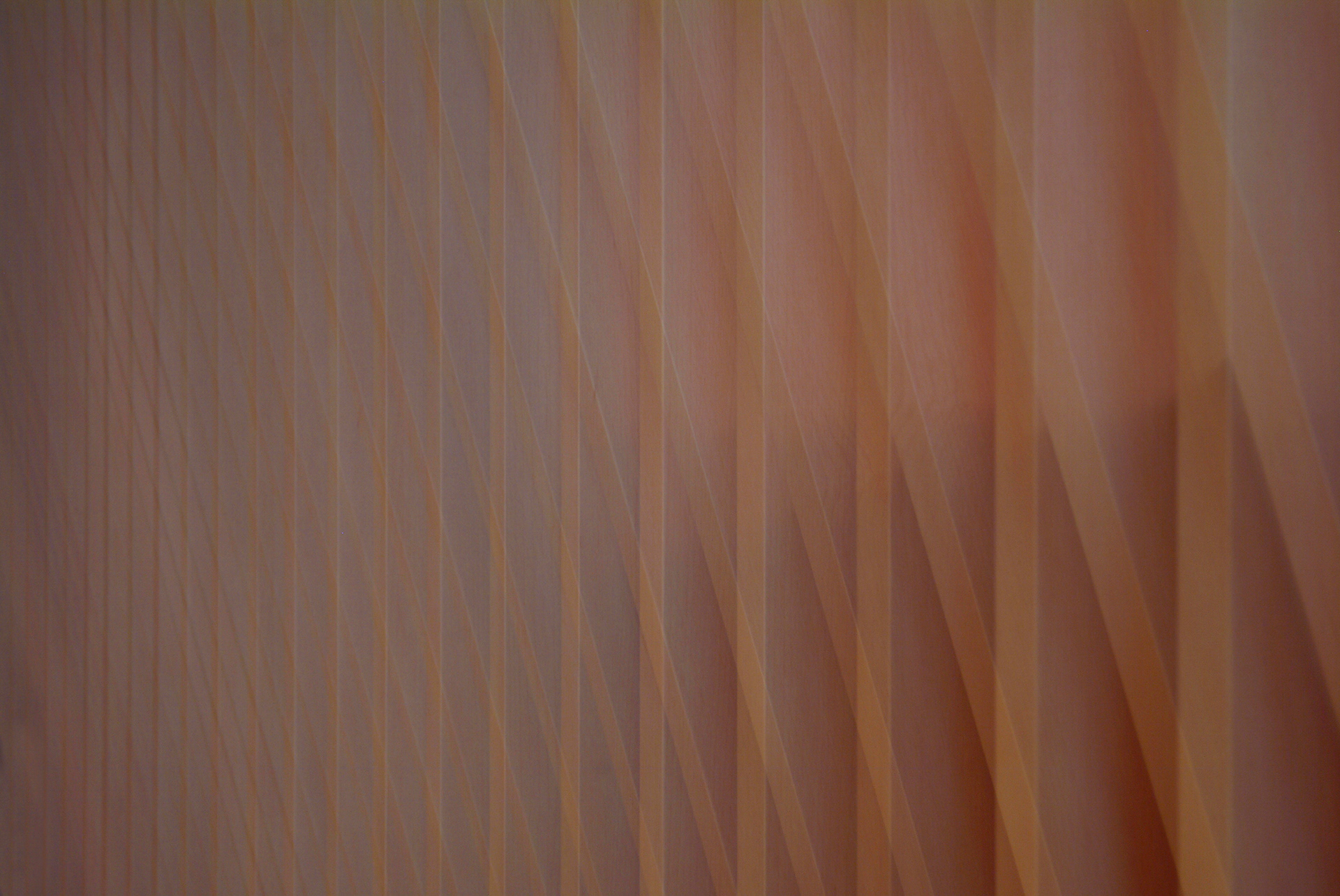 빛의소리_# 007