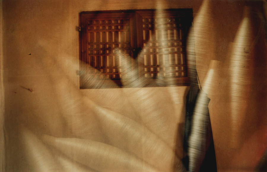 시간의 화석  #009