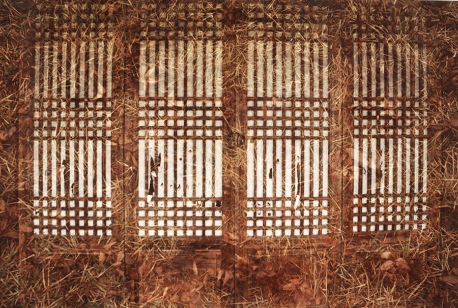 시간의 화석  #005 1993