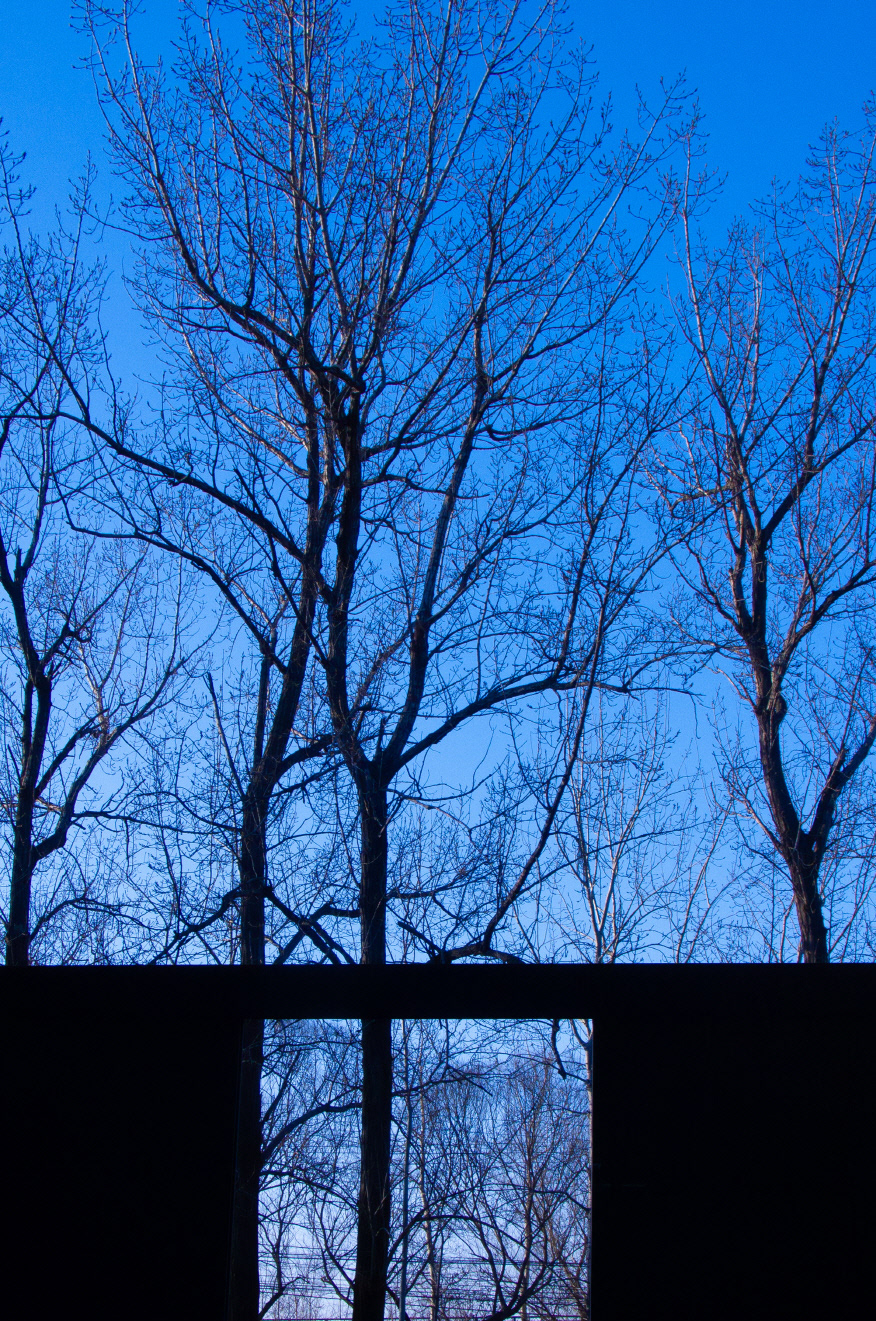 City_Breathe #012_뉴욕