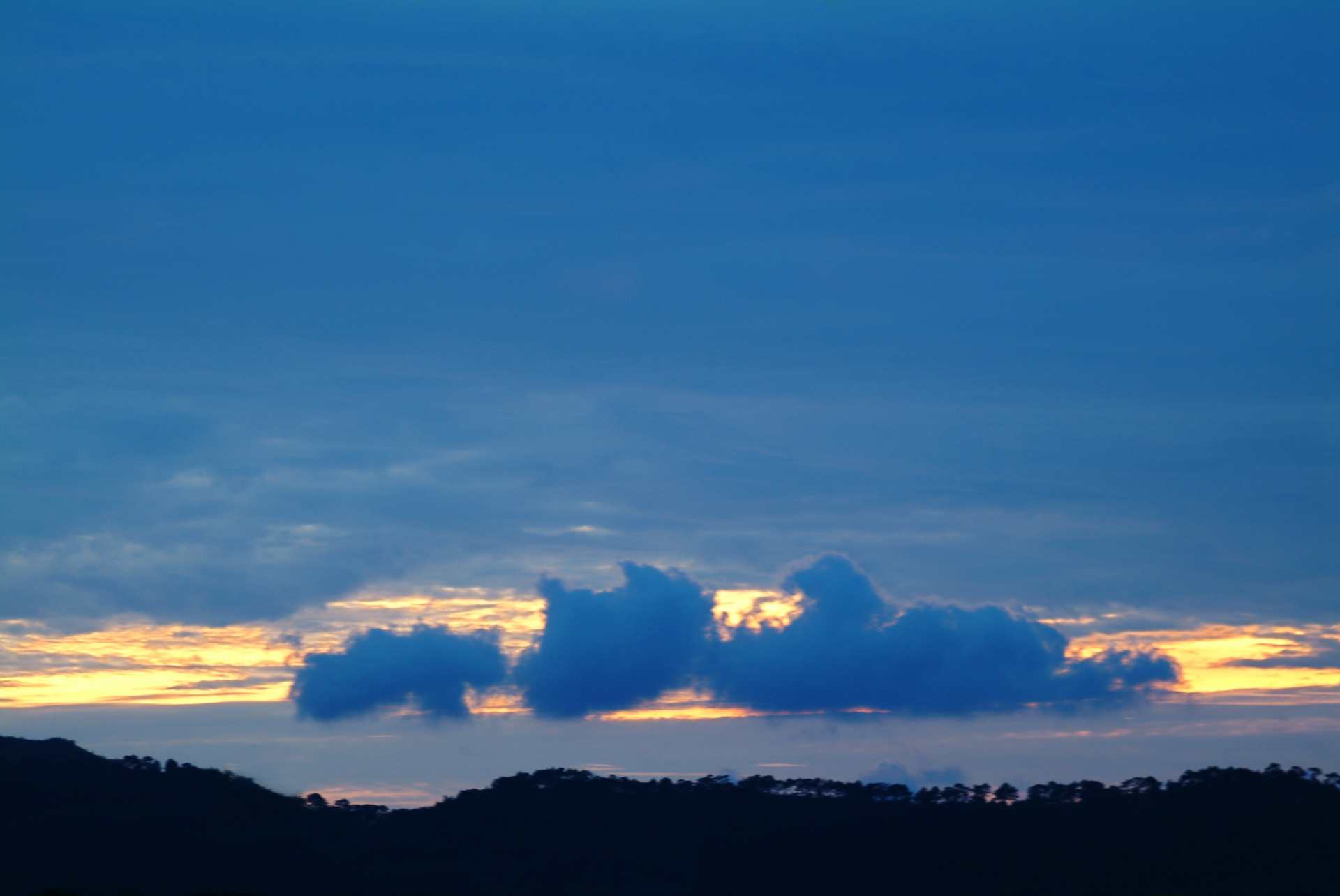 사유풍경 # 011