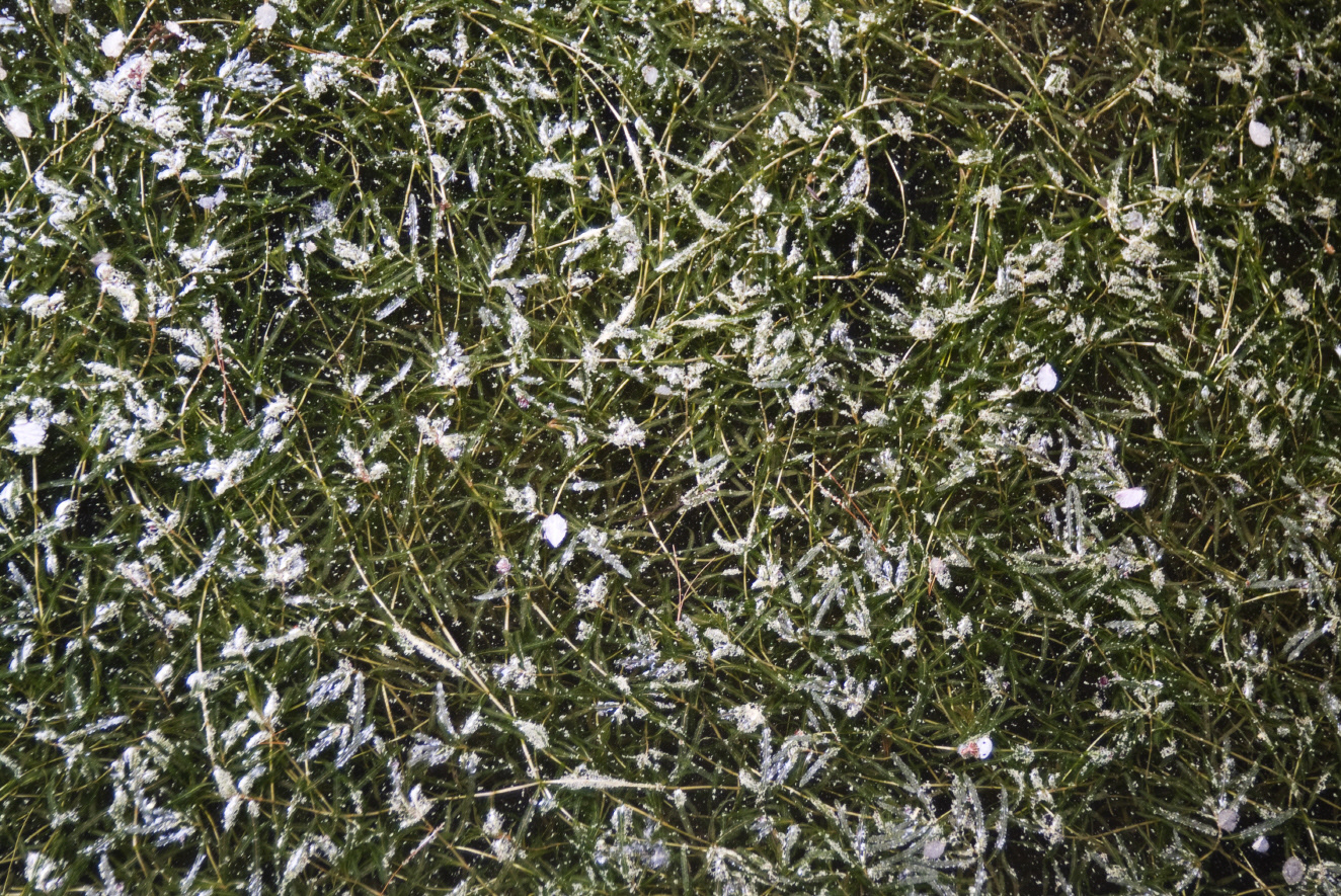 사유풍경 # 025_1