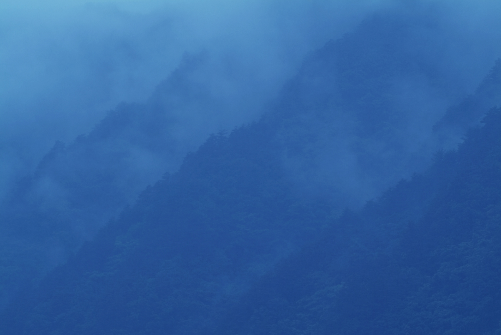 사유풍경 # 015