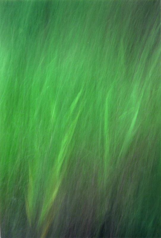 기억의저편 #002