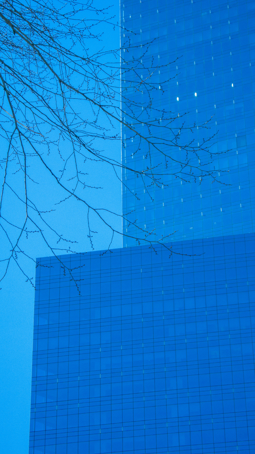 City_Breathe #002 _뉴욕