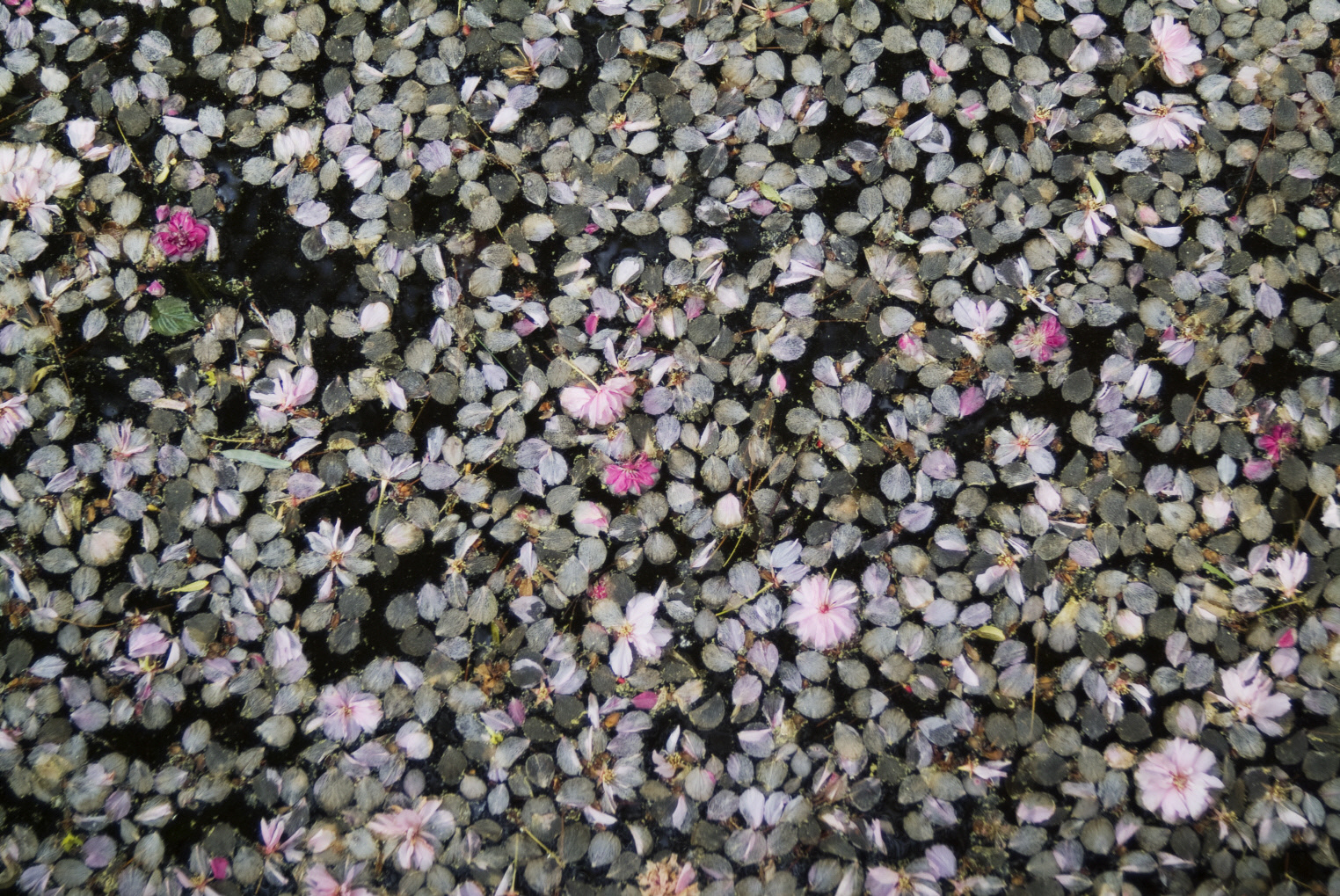 사유풍경 # 024