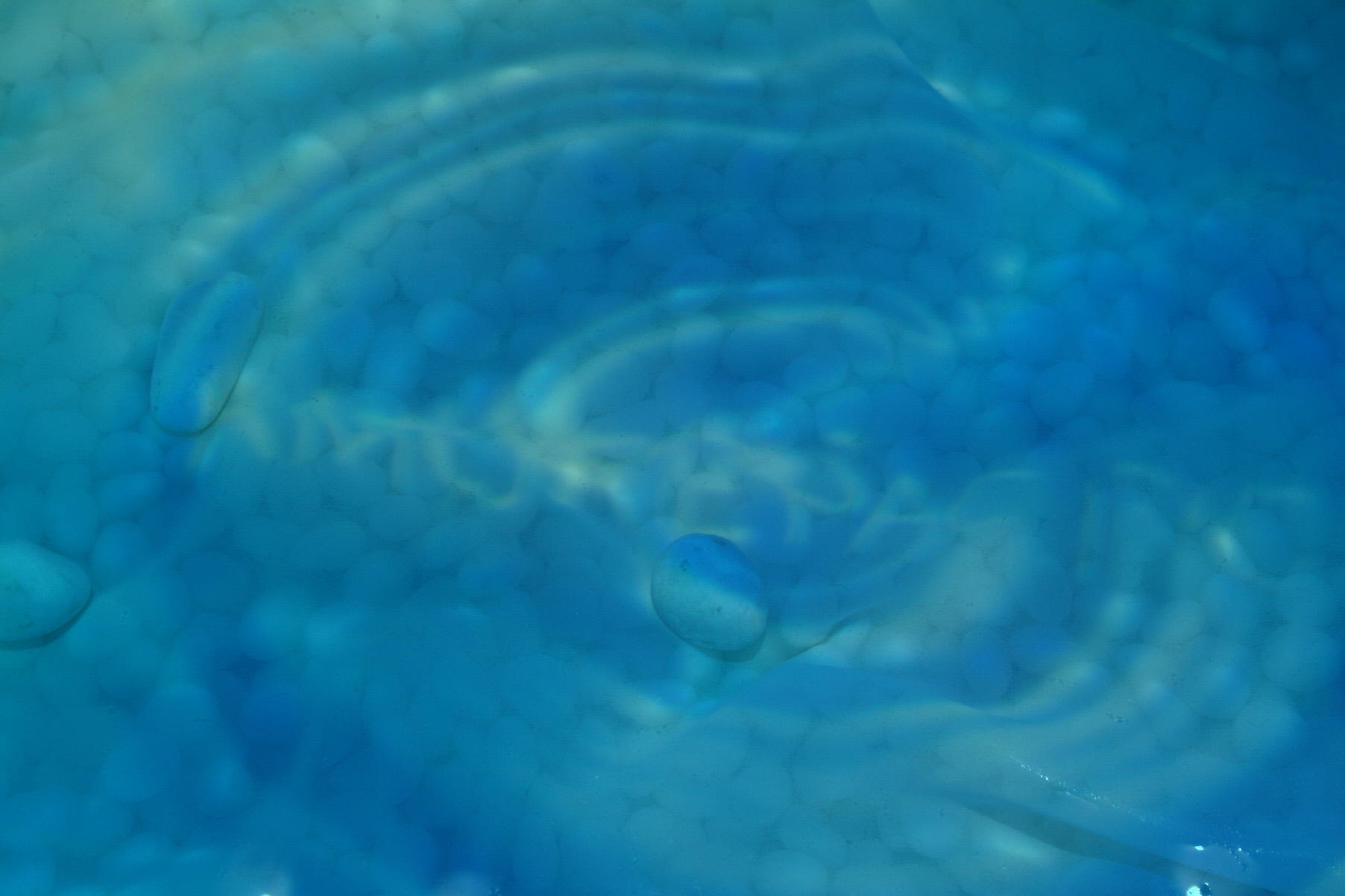 사유풍경 # 017