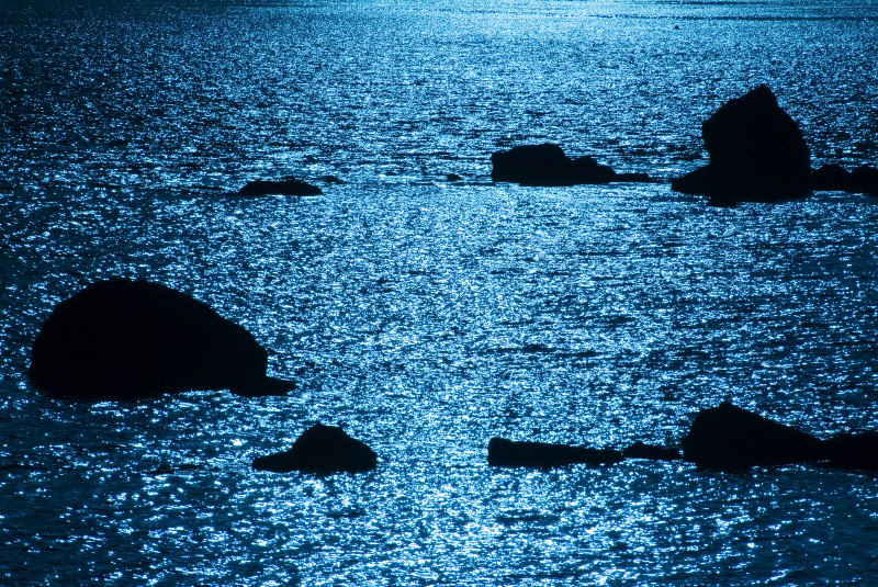 사유풍경 # 018