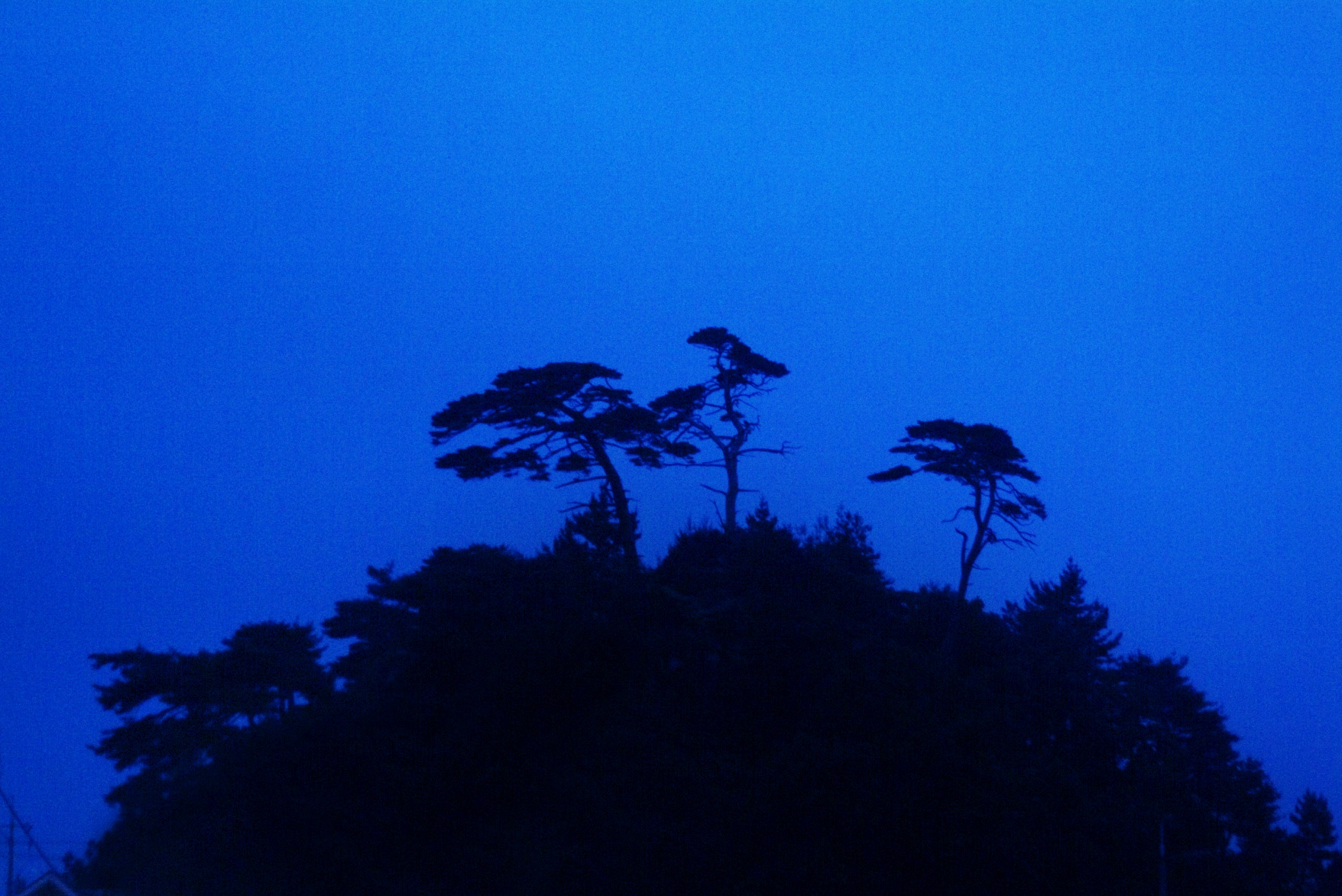 사유풍경 # 033