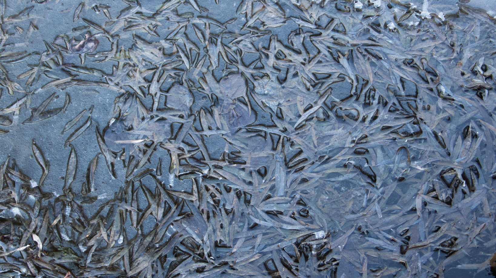 사유풍경 # 026