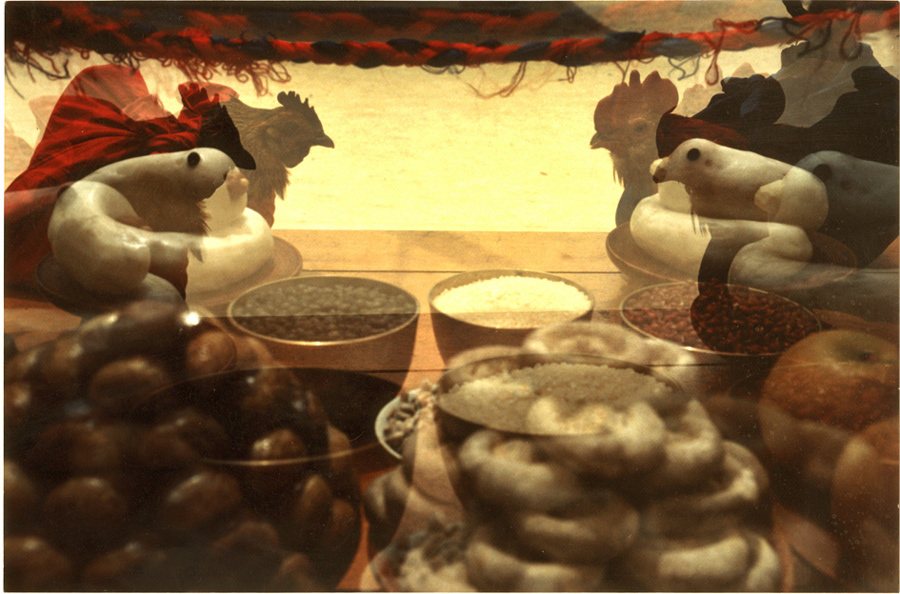 시간의 화석  #002 1993